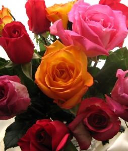 Bukiet kolorowych róż